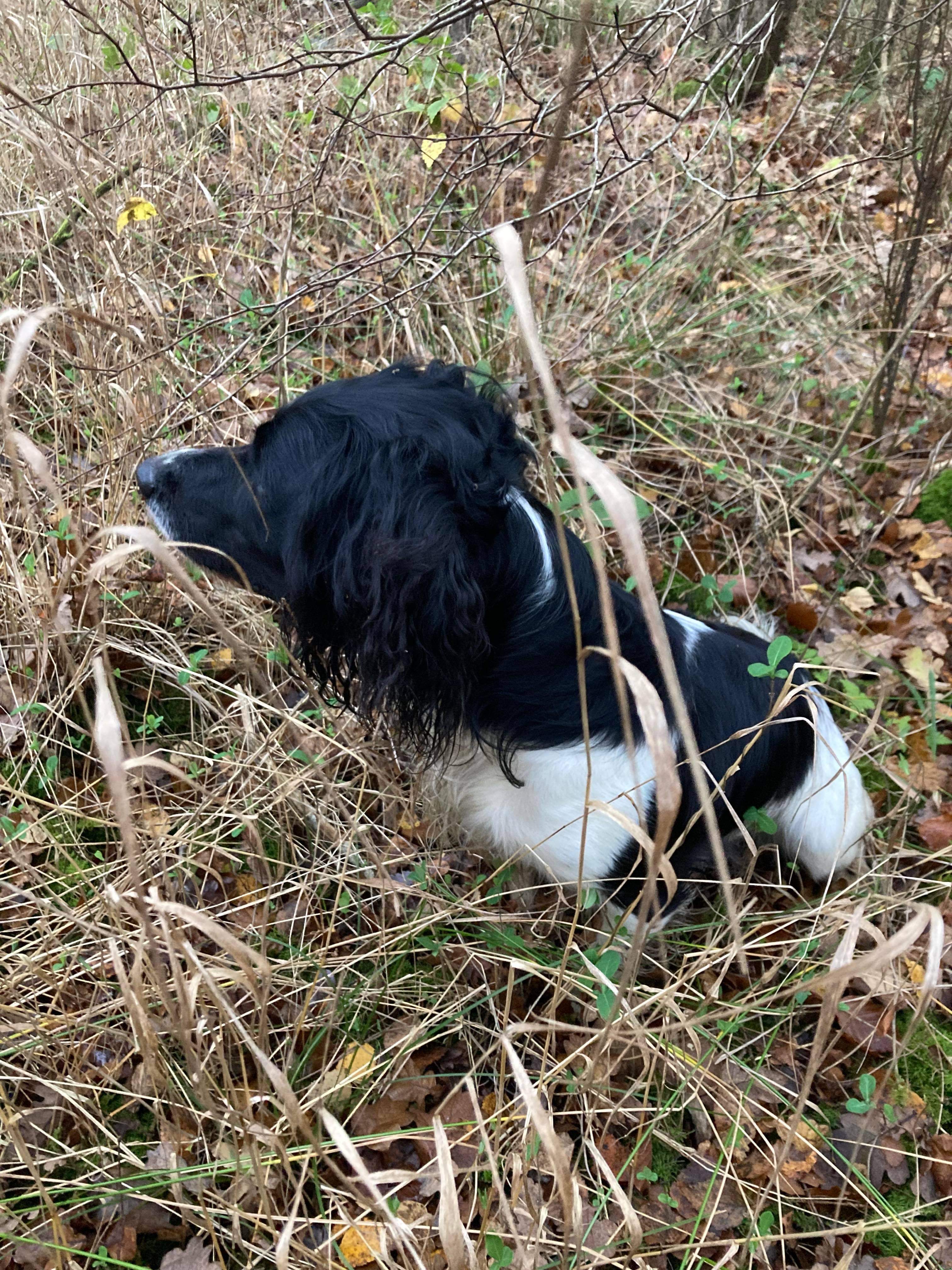 2C1BEA3F-52C7-4BB0-9053-33529FC14D41