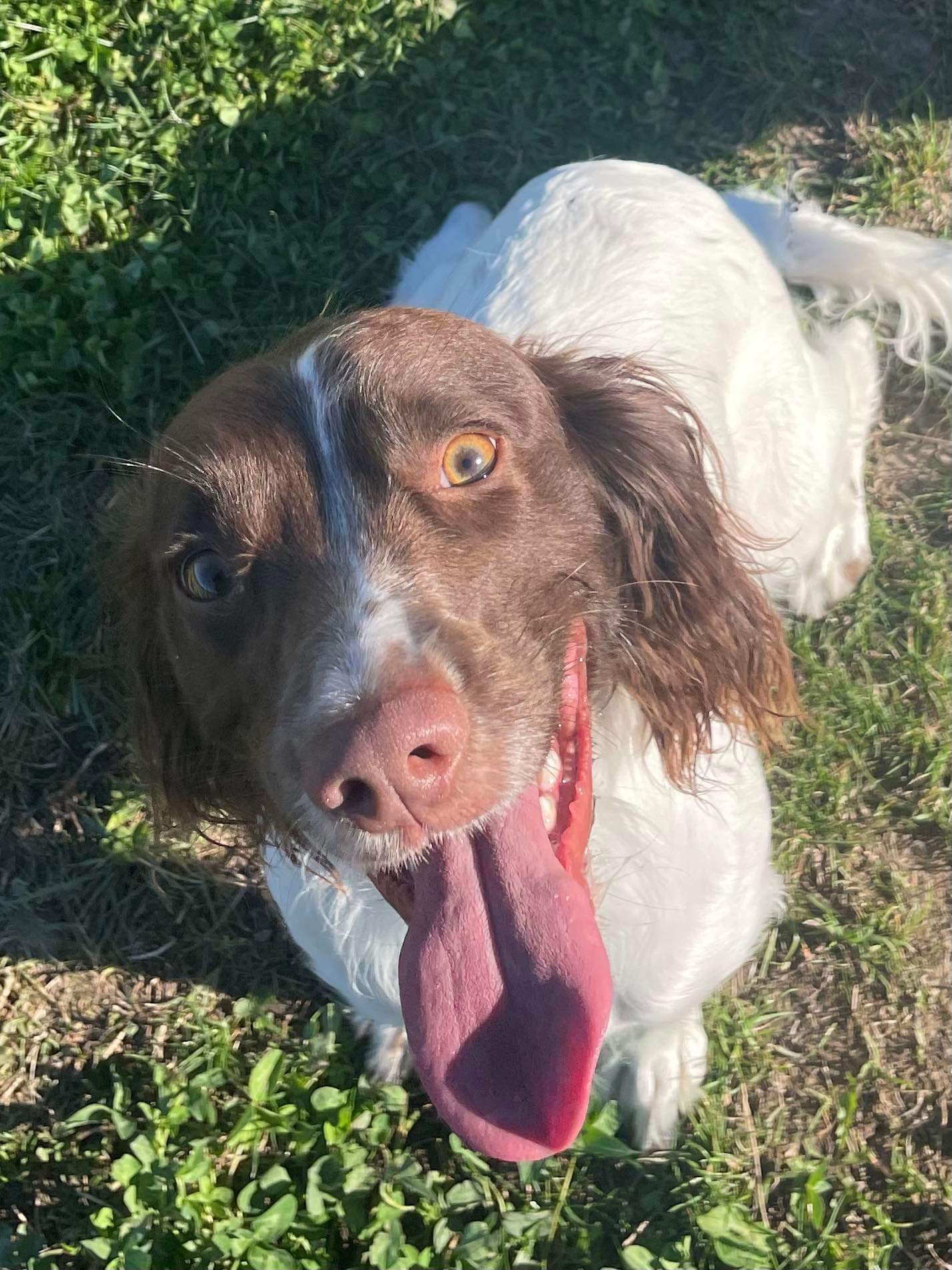 8A1783A4-0B06-45A5-BB73-30431D34D666