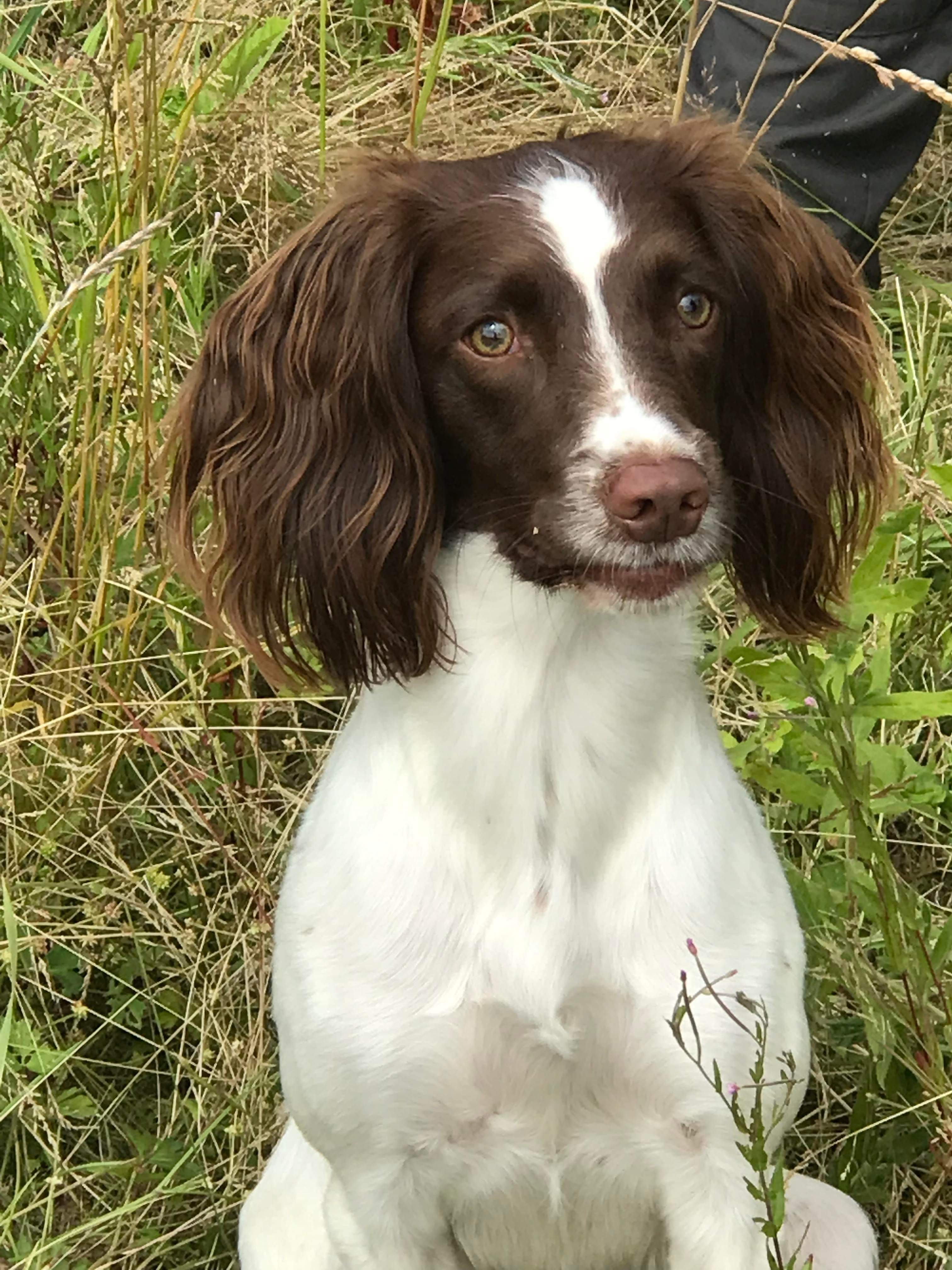 39BE59F3-864D-4442-8D1D-E27A71FDA529