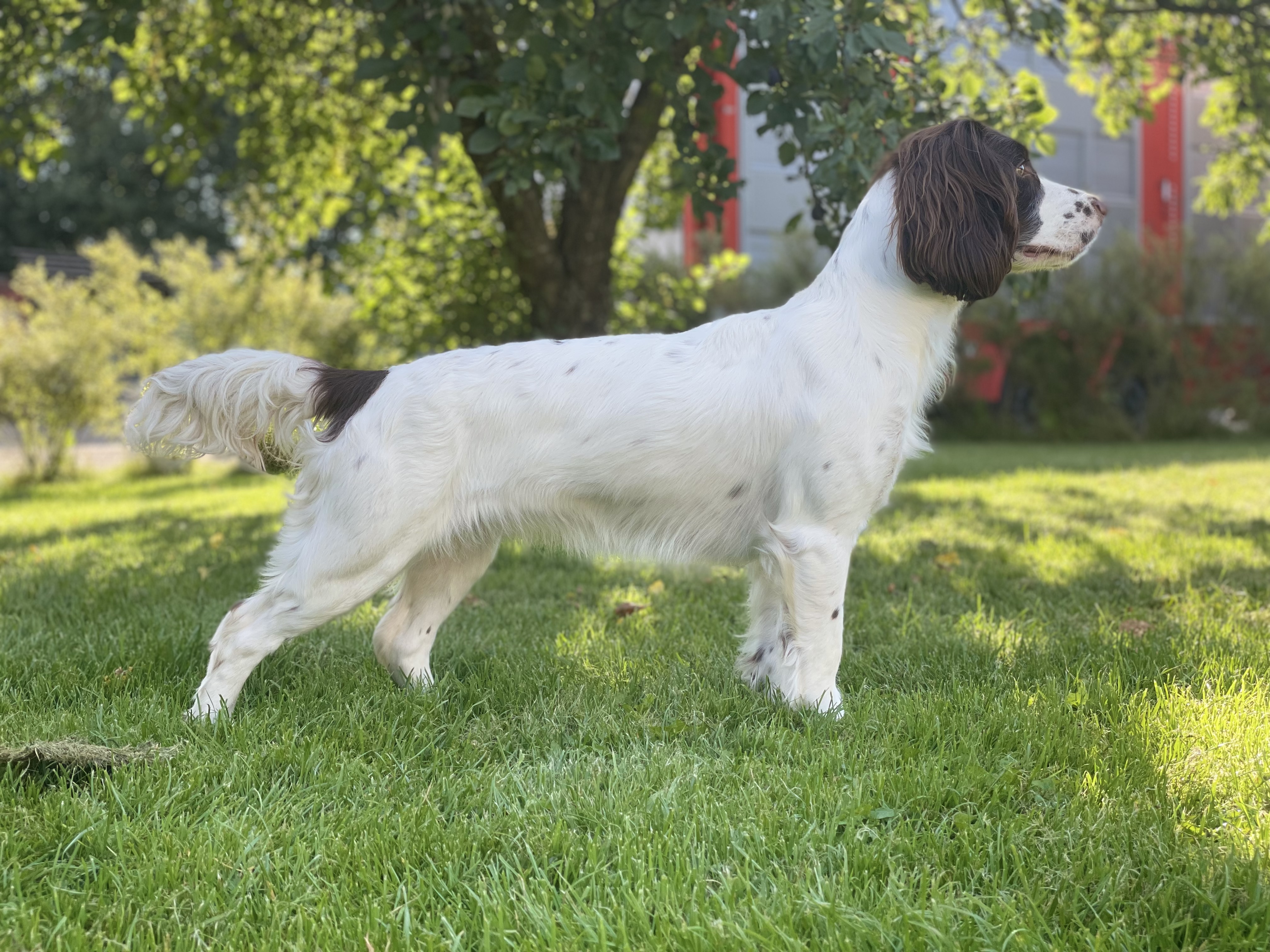 AEF71A54-4297-44F7-AB02-F804731514CB