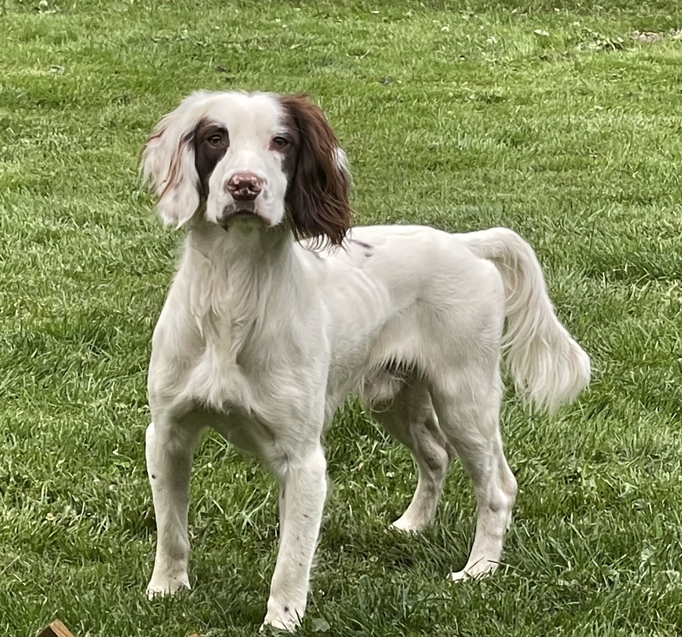 07F5CCED-DAA5-4E43-B92D-0024F4FBB40D