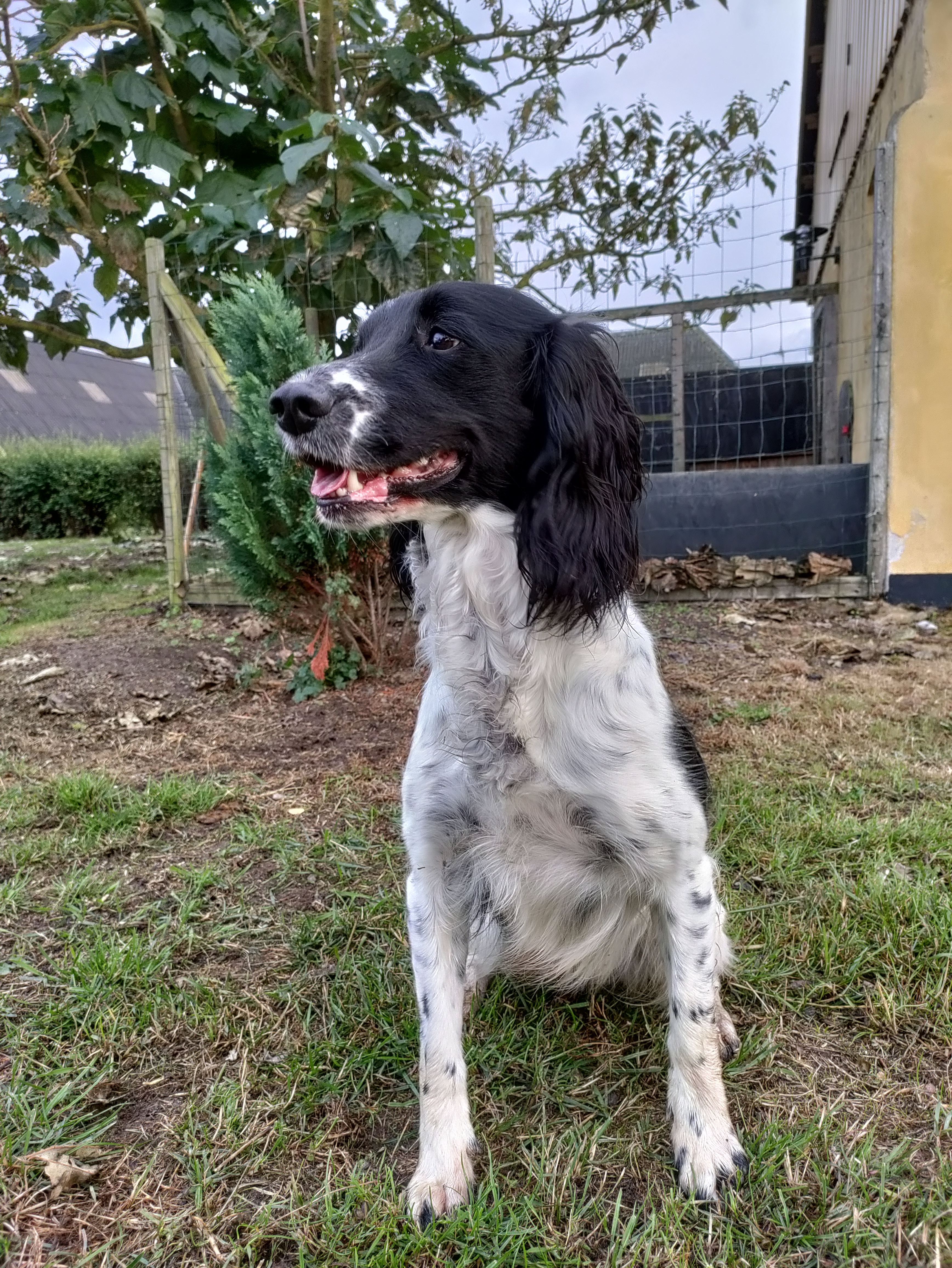 IMG_20220917_183219[1]