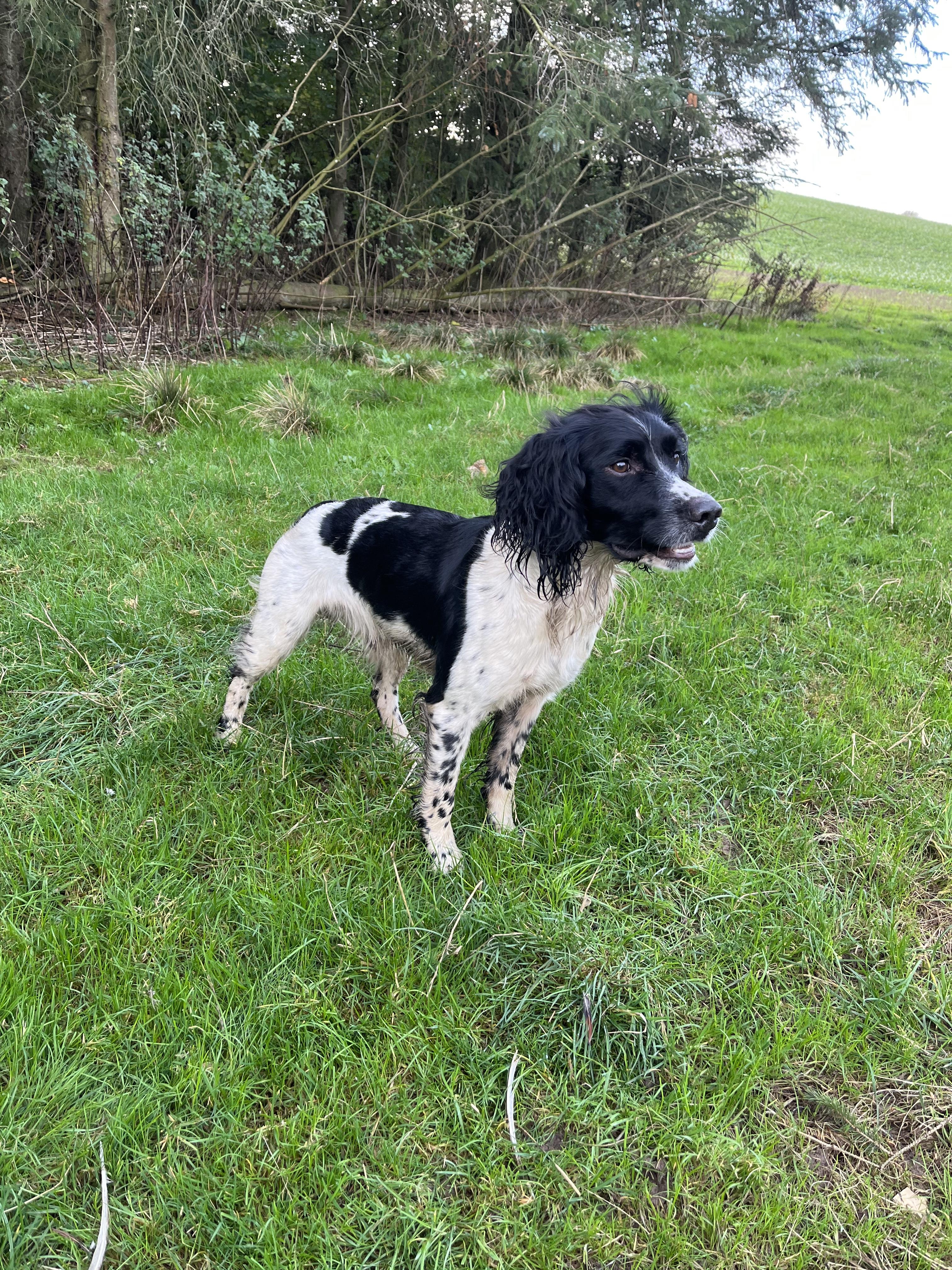 9FF98114-DCF0-4BB5-BBC3-E387B5154514