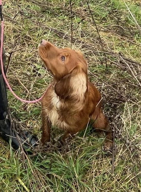 E765EED7-EC8B-4D17-B2B7-BFA7220F3454