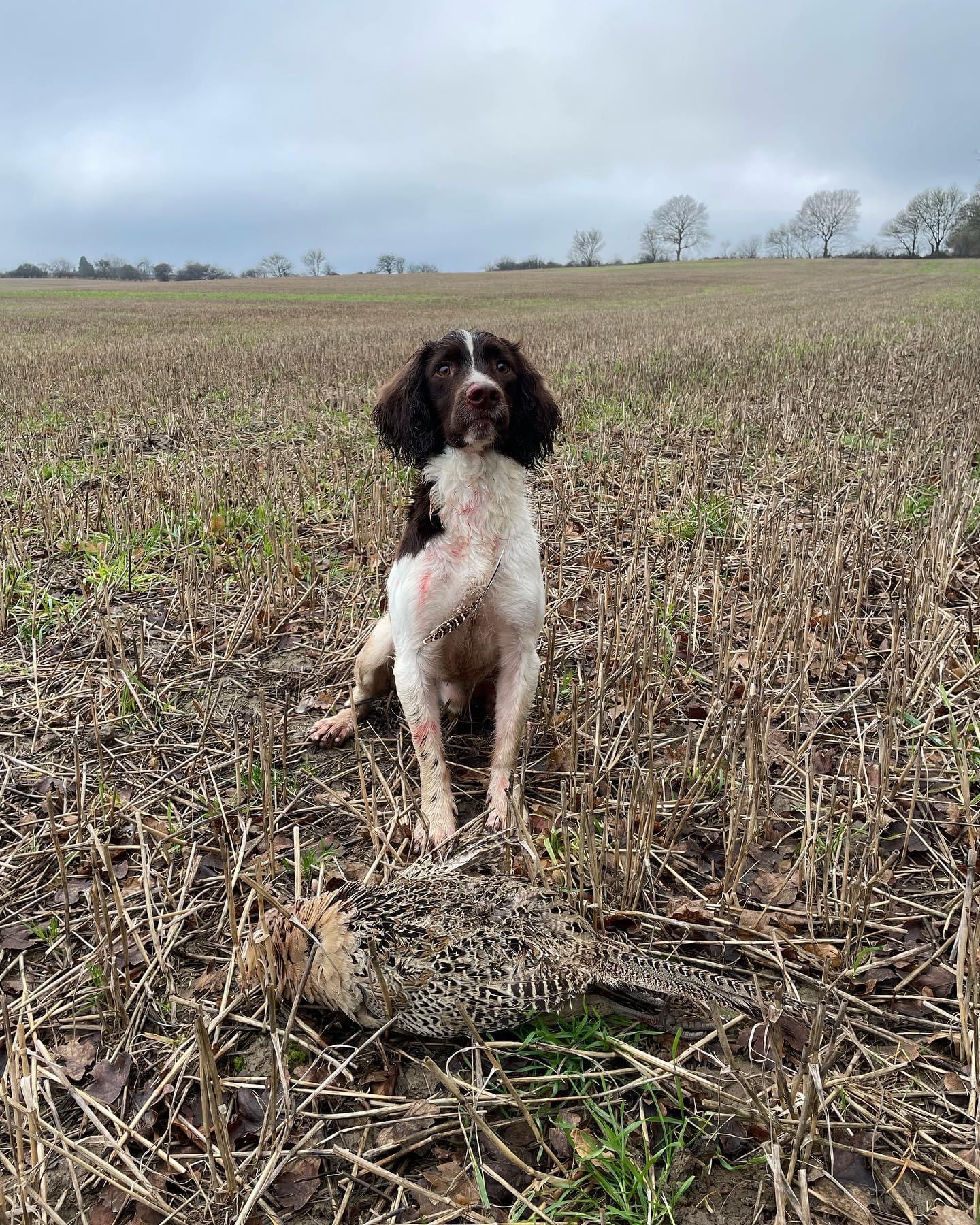 58606BFA-4105-412C-8CF2-5BCBC6A52F24