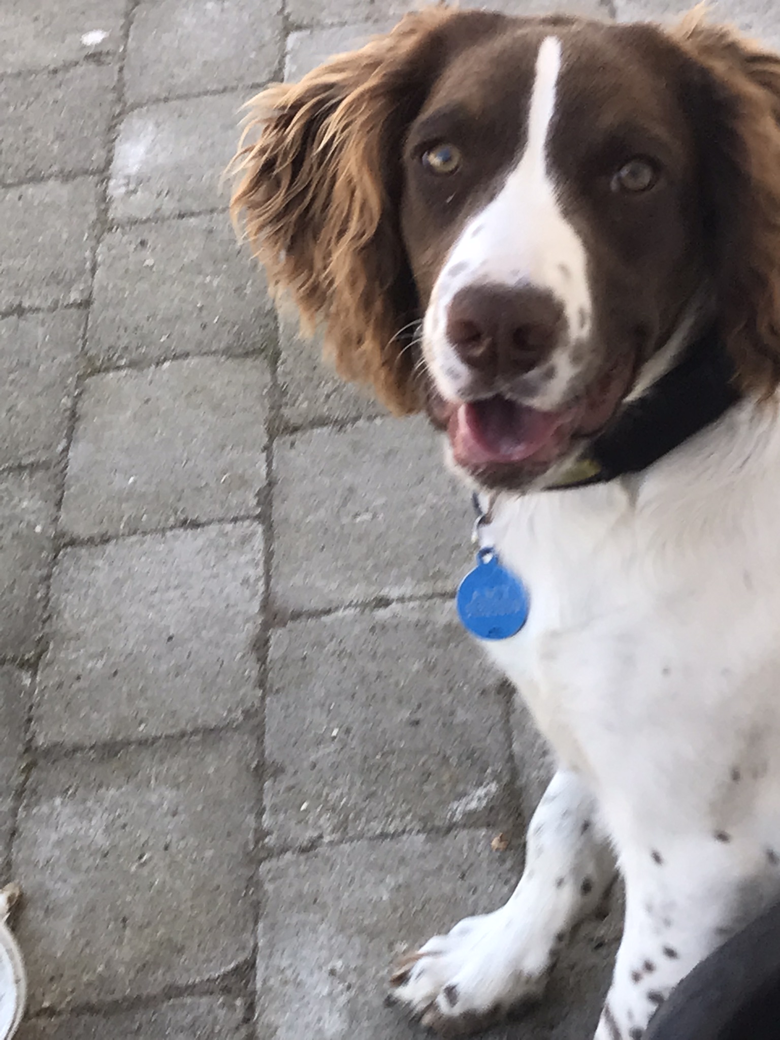 AB0311D6-0611-4FF2-AB14-7C20E211BA04