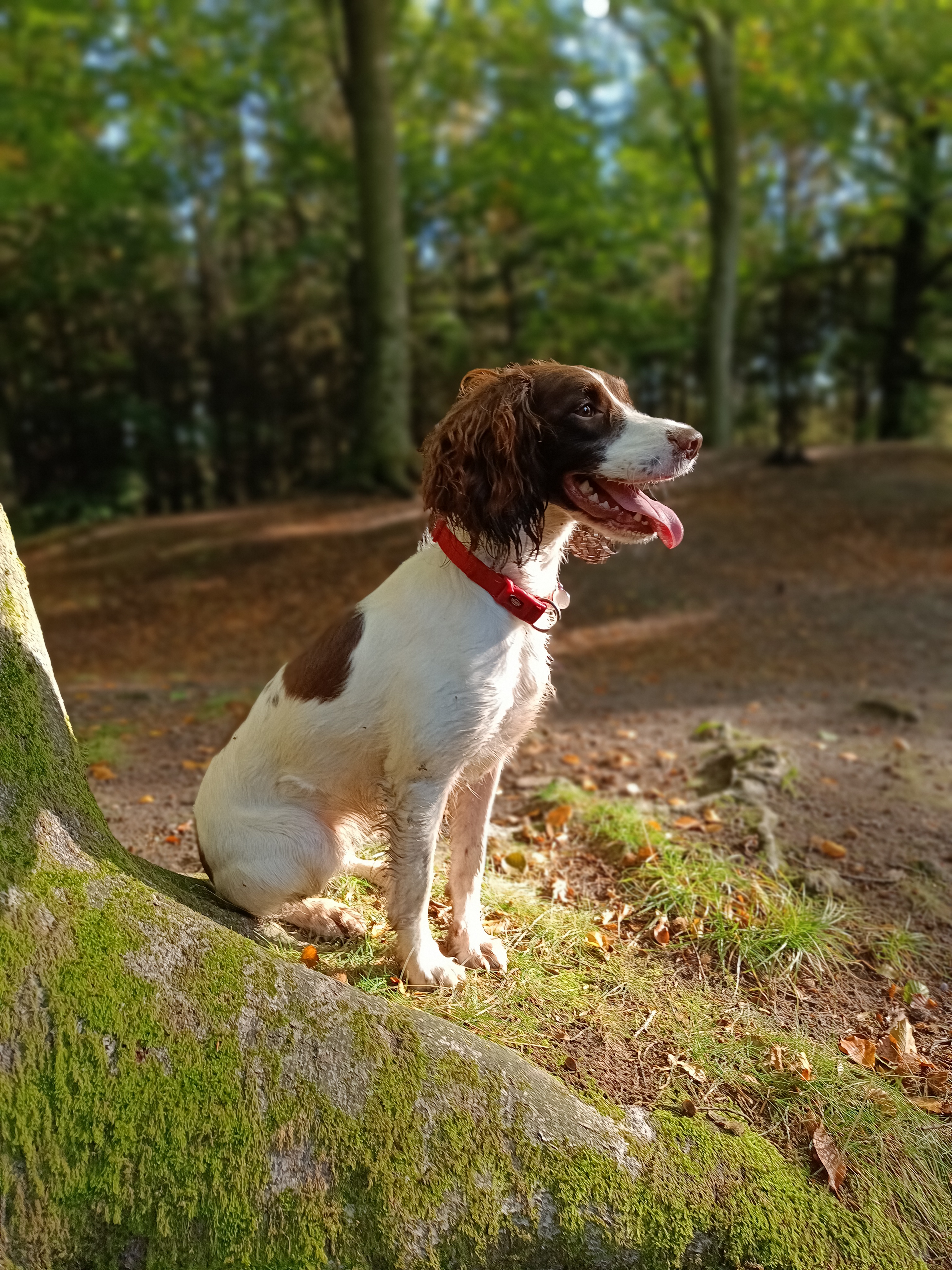 IMG20221009105505_Bokeh