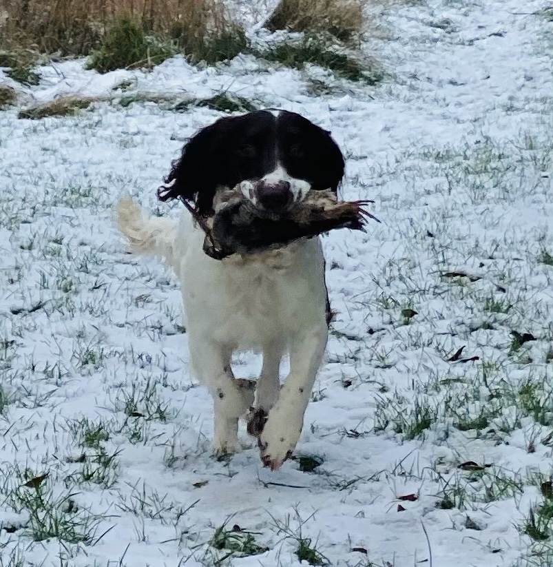 64BA67F9-CEE9-464F-8677-29EC806169DA