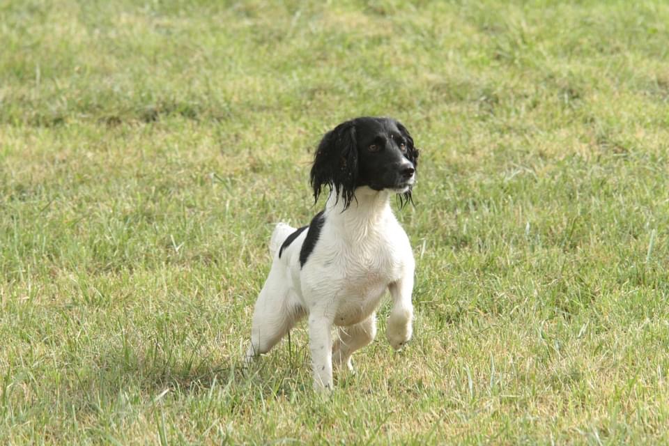 0ED9FBBF-109F-4D86-9193-85E3DC0A49A6