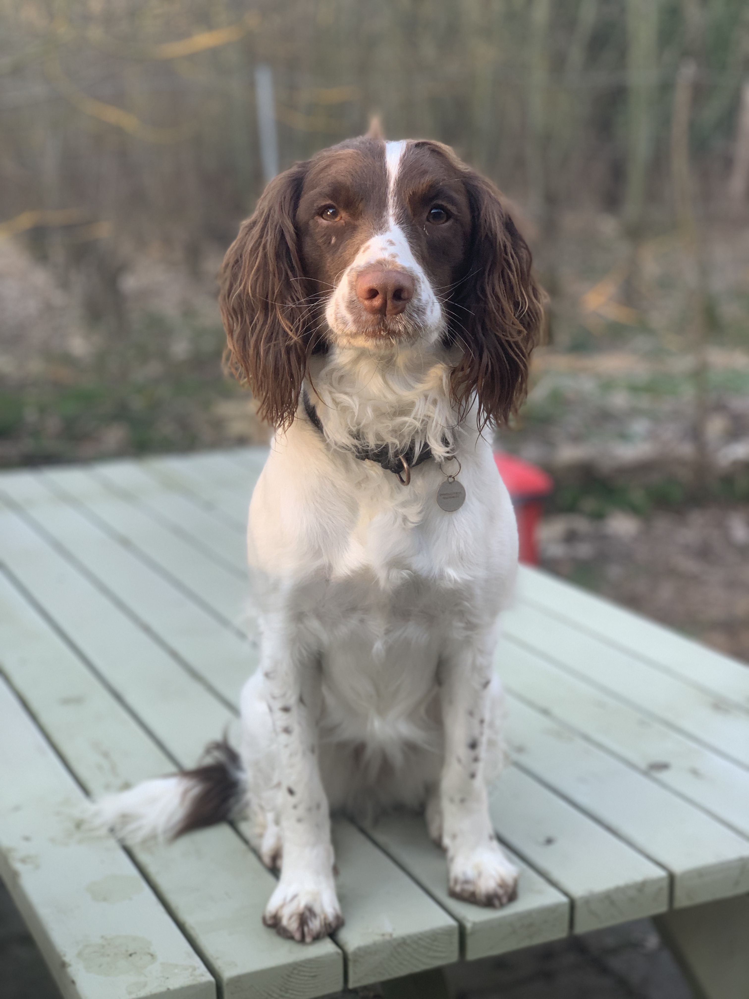 20220418_050204280_iOS