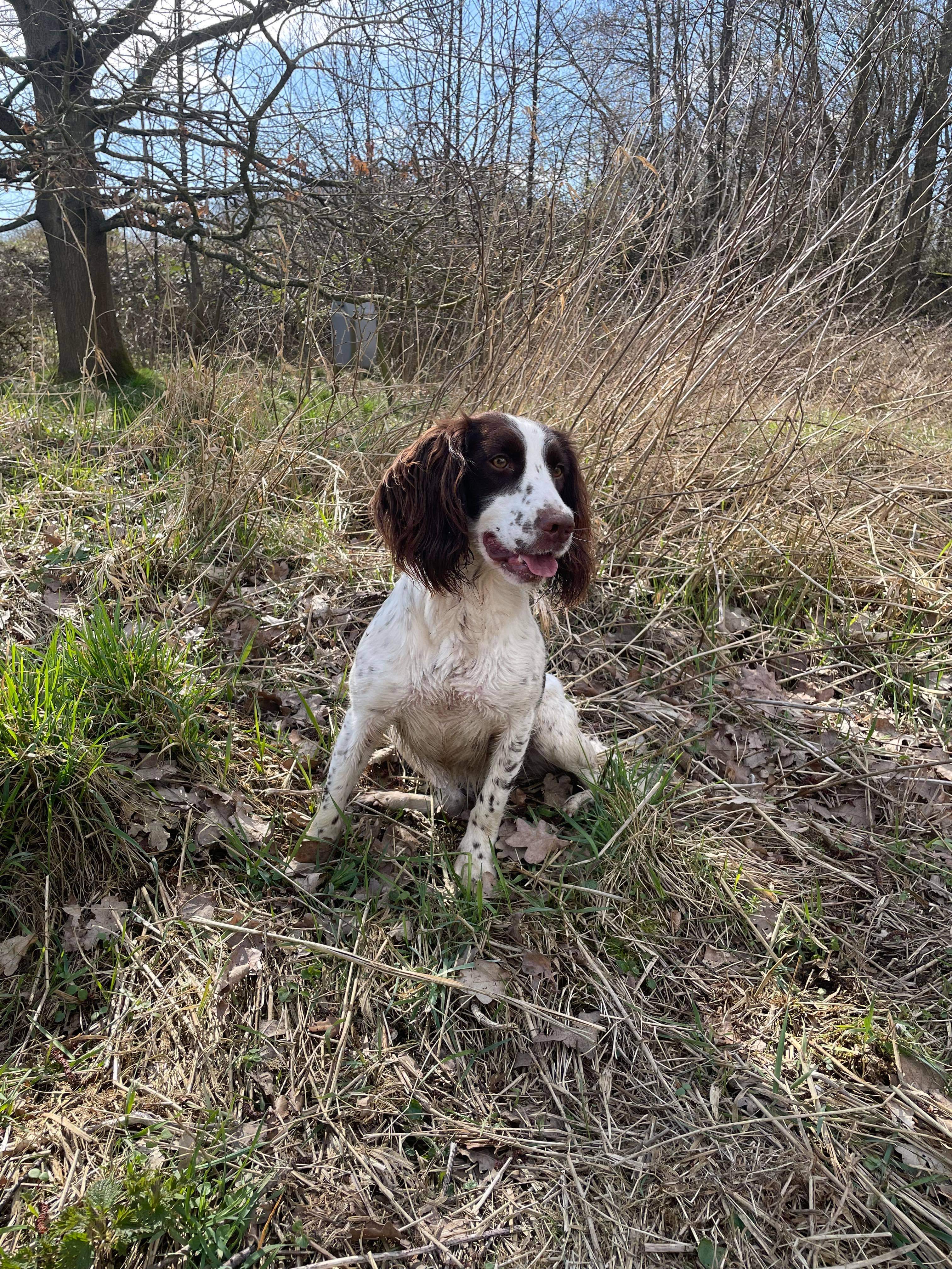 00316617-FF51-4098-A0FE-3CA26B556FC7