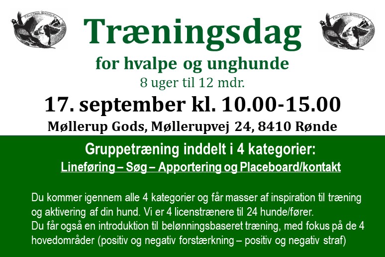 Træningsdag på Møllerup
