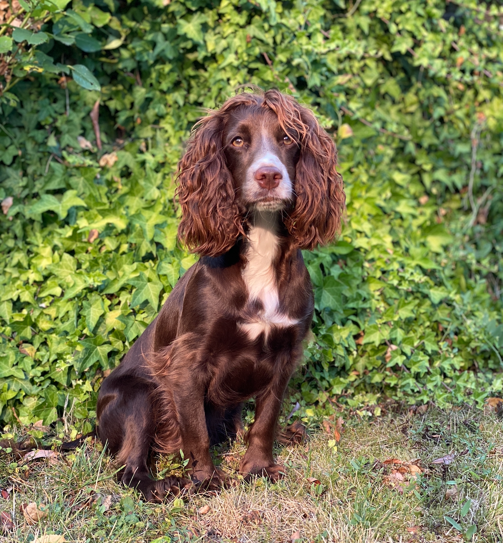 Skærmbillede 2023-09-12 kl. 19.36.24