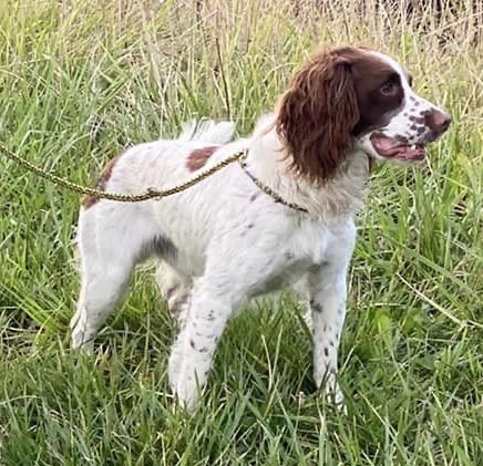 305757213_4803830516386703_9989182050897927_n