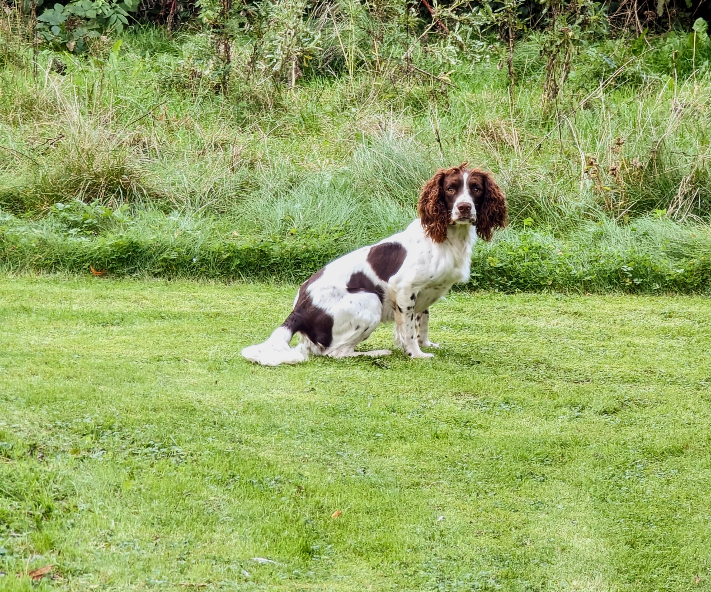 PXL_20231004_123246317~2