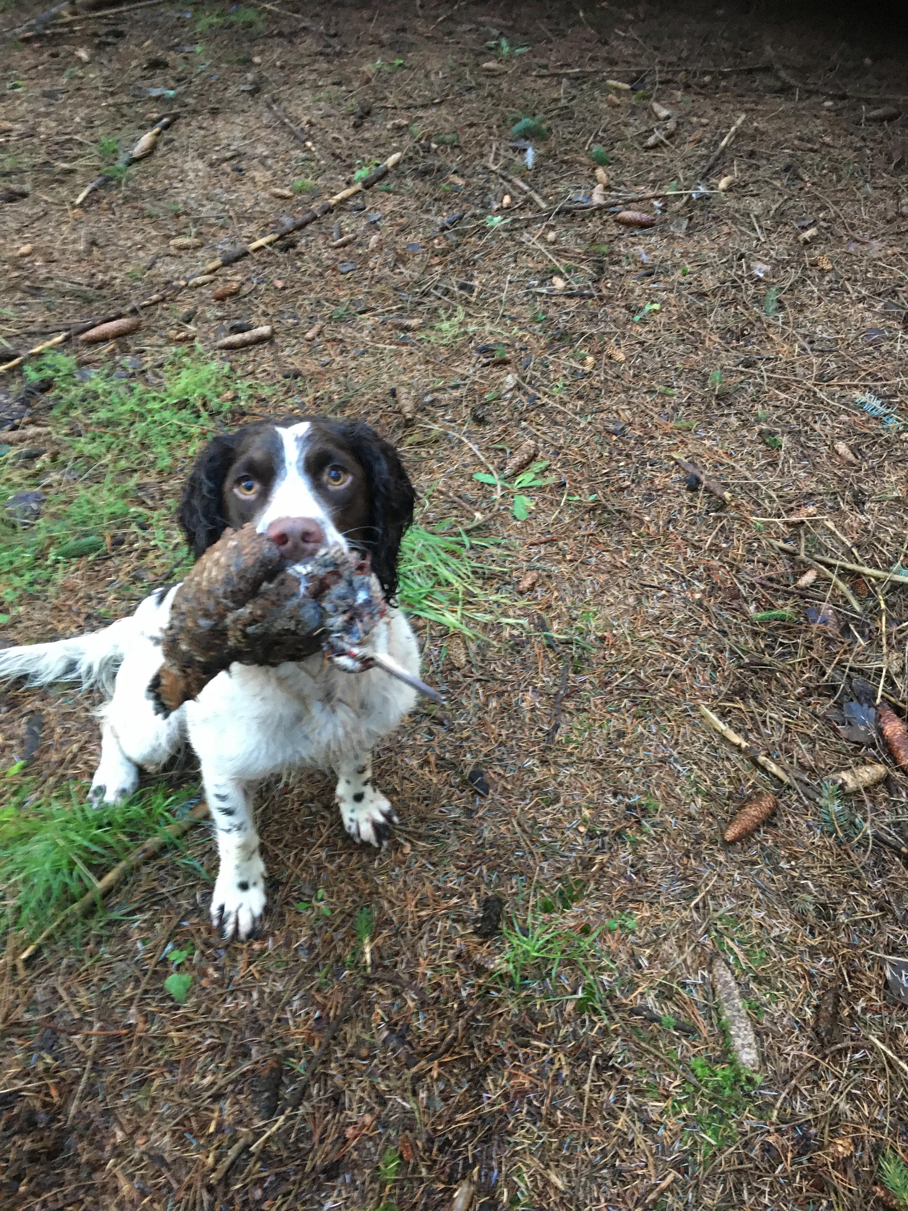 0A1304B6-920E-4D76-A409-808786FC3FDD