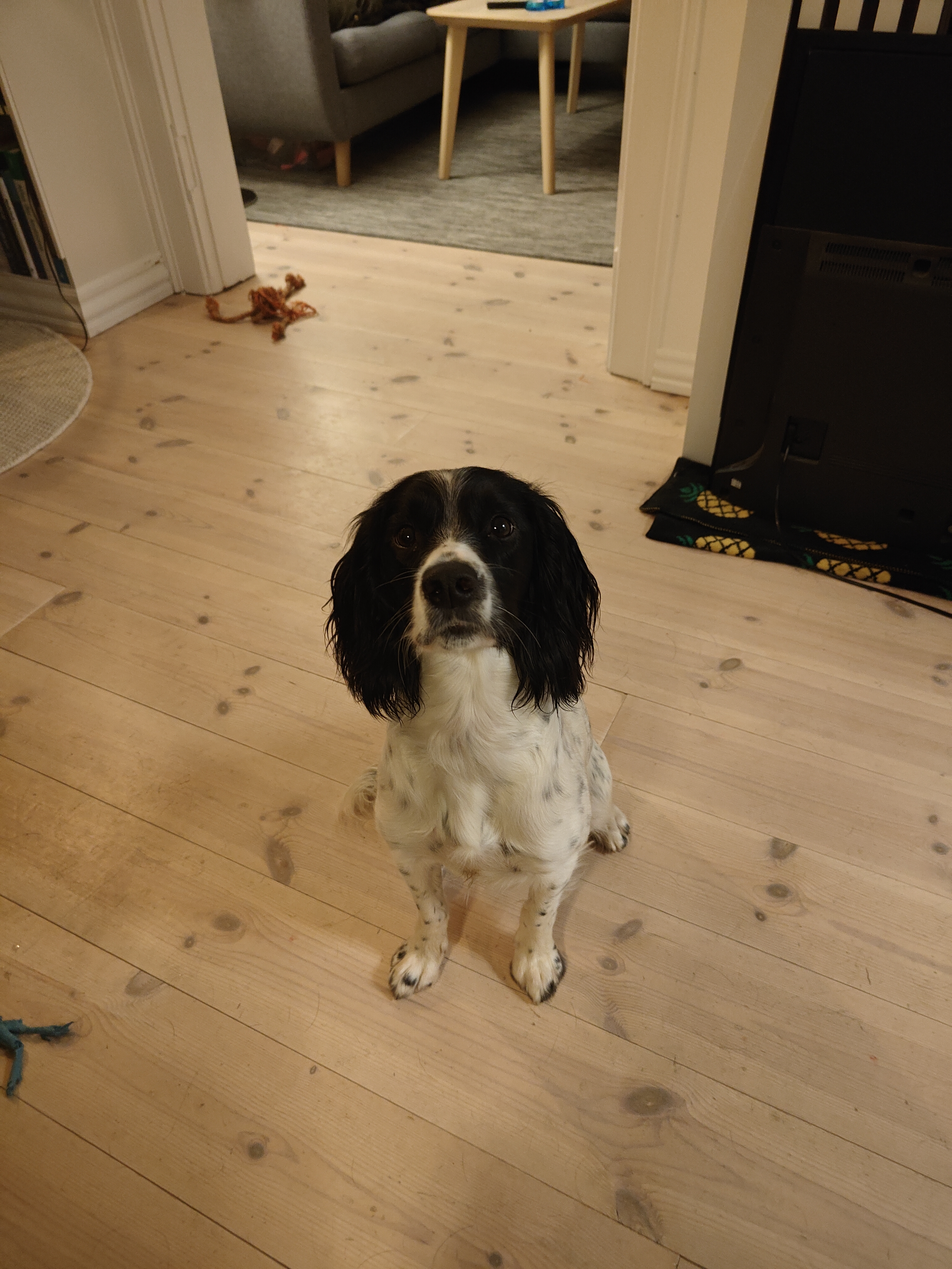 17115641117236891141113839102978