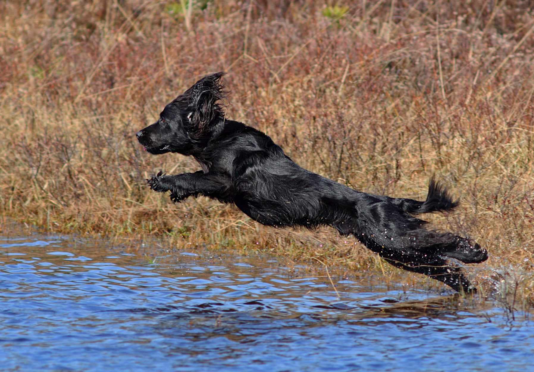 Messenger_creation_7e032bf1-d6fd-4d8e-80b7-e1211074e76b