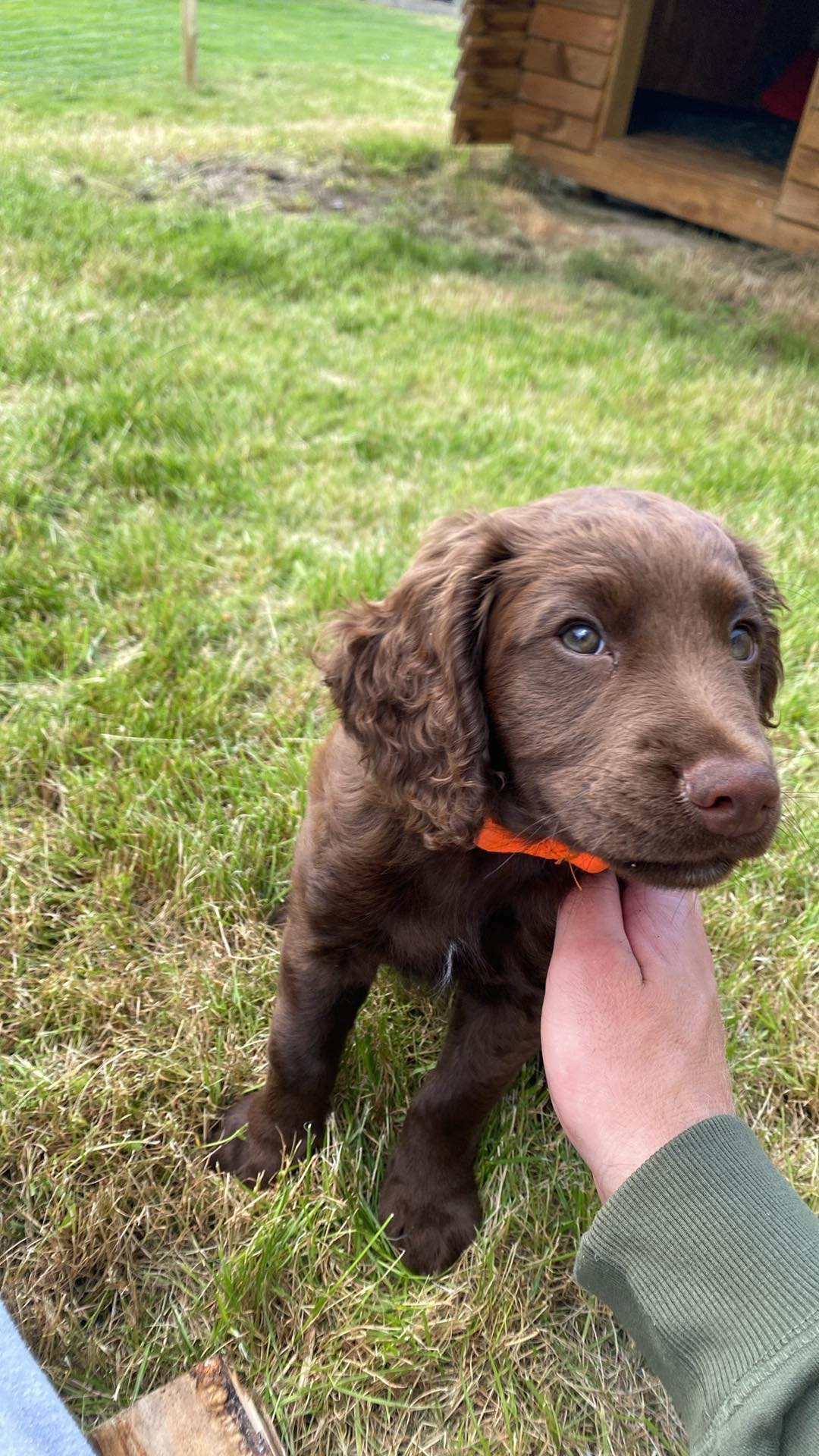 454267616_535745368877914_2628243911305638752_n