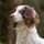 IMG_0303.png IMG_0303
