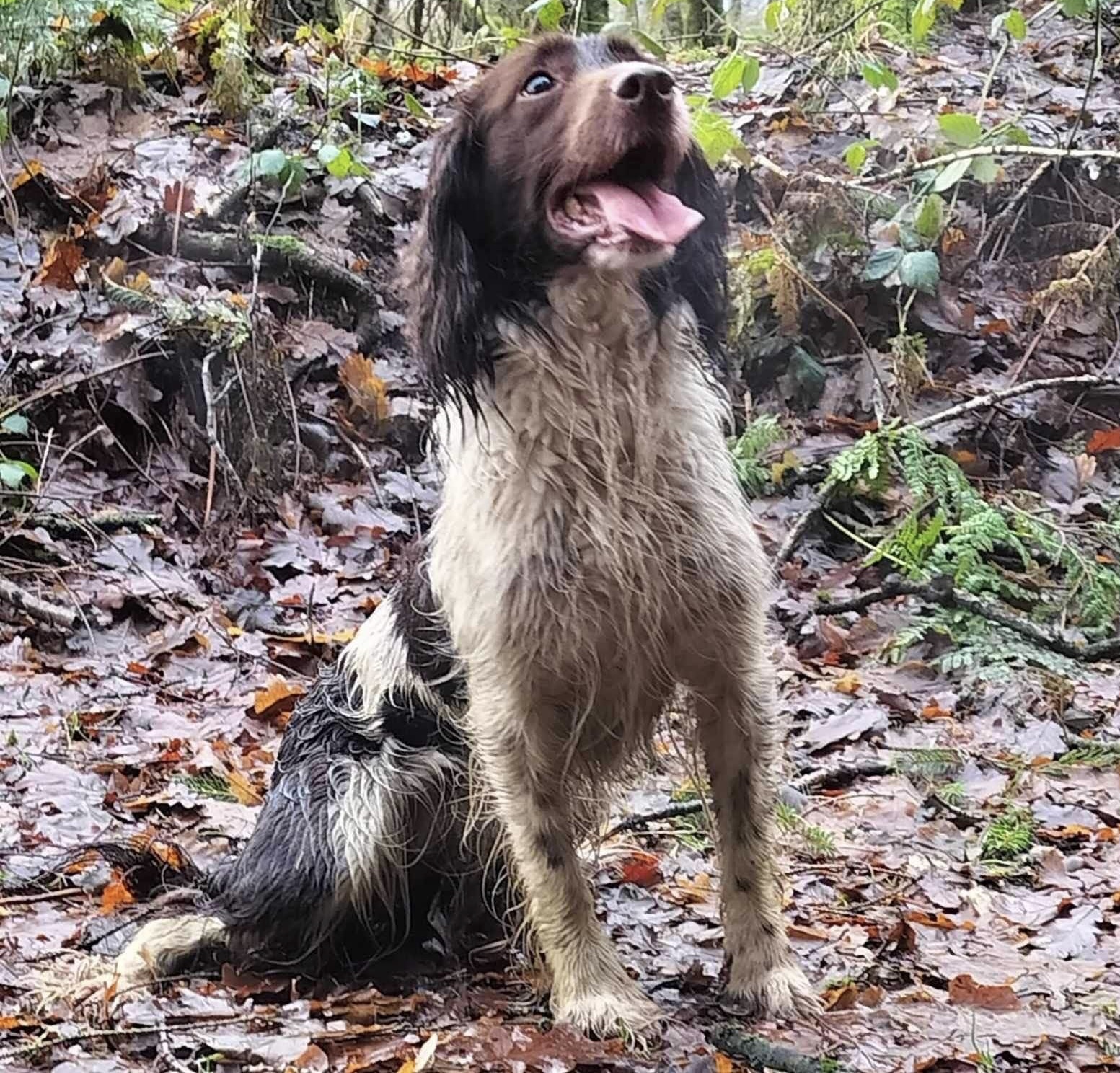 55423C84-5BE0-42E1-BED9-60756C1BCA15