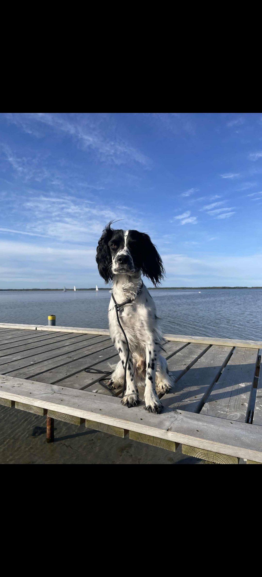 Screenshot_2025-08-17-20-48-54-14_be80aec1db9a2b53c9d399db0c602181