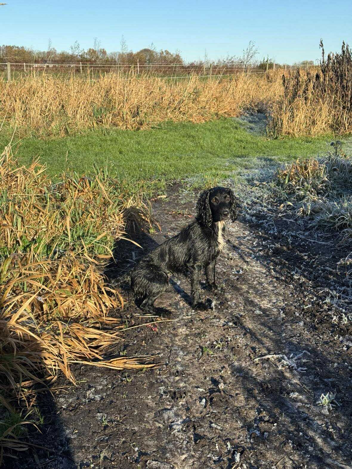 fe33135b905677fad7b3435f2493ac64