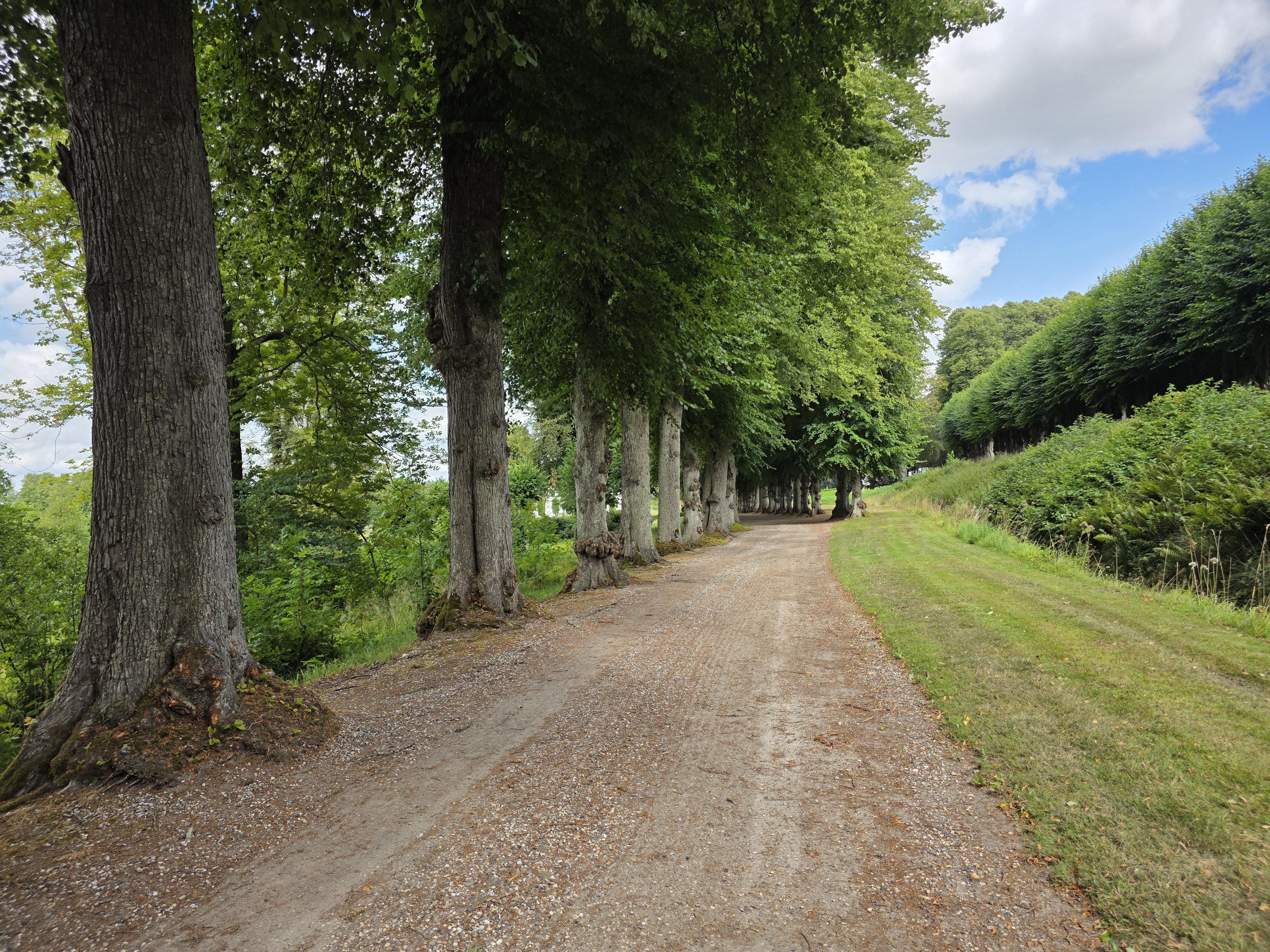 1000009721